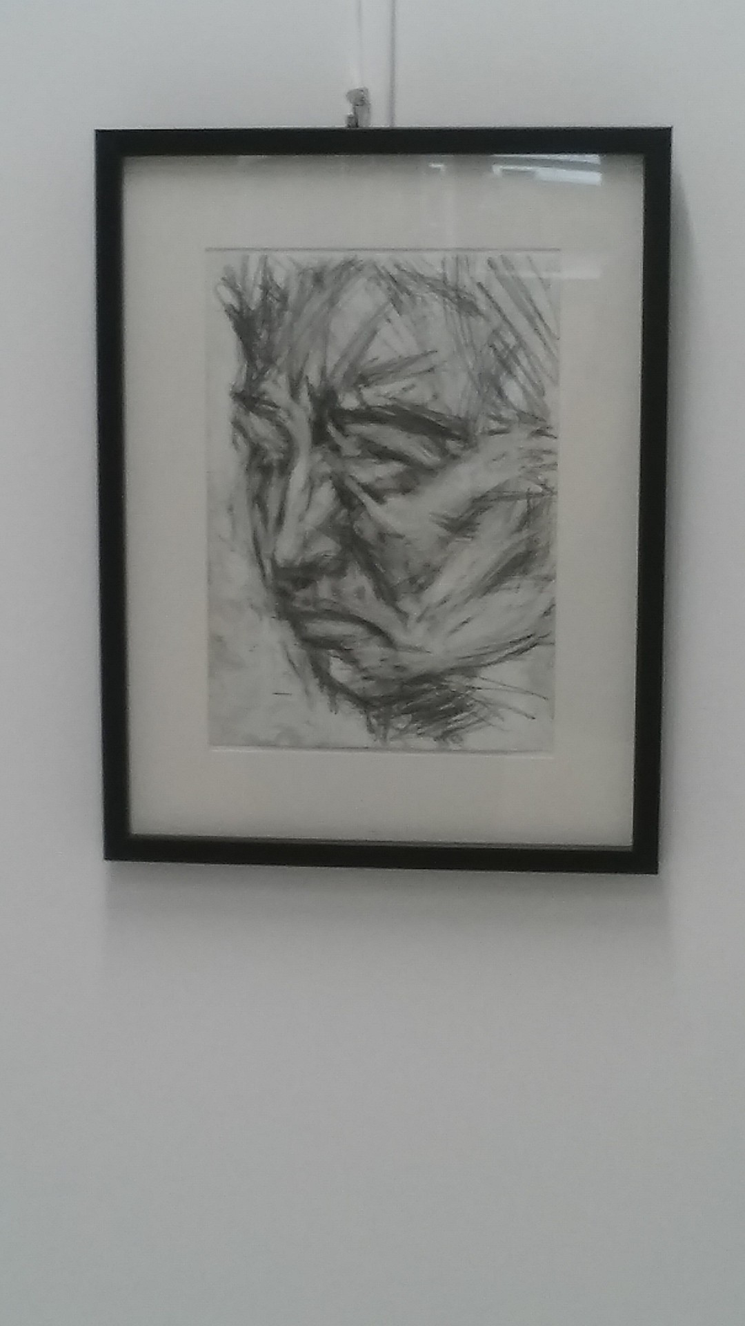 Aitor Irulegi Lopez artista alkizarraren lanak ikusgai, Plazida Otaño liburutegian 