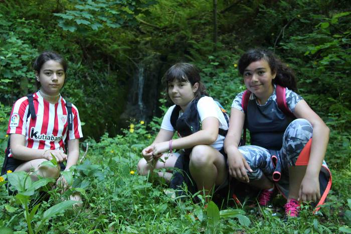 Fleming mendi irteera 4 1559657921779