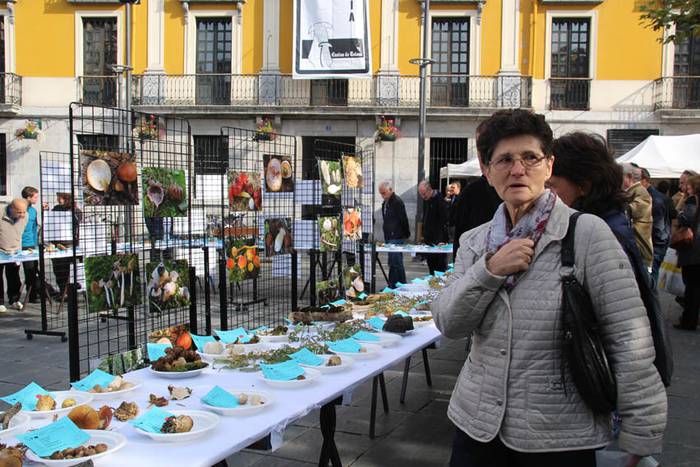 Mikologika 2015 azoka eguna 3 1445082989151