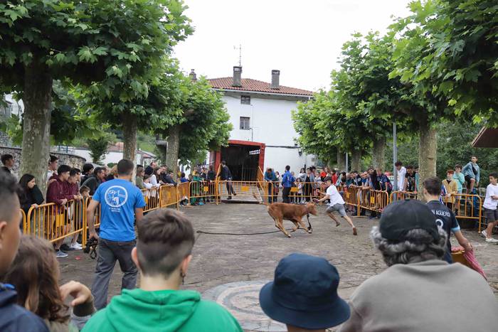 Zezen txikien aurretik 12 1656263616048