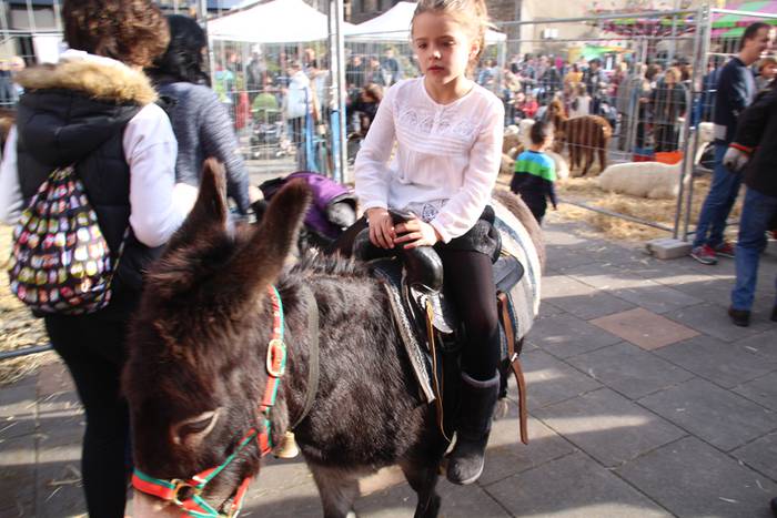 Tolosa Gabonetako Azoka berezia 2015 4 1450532613798