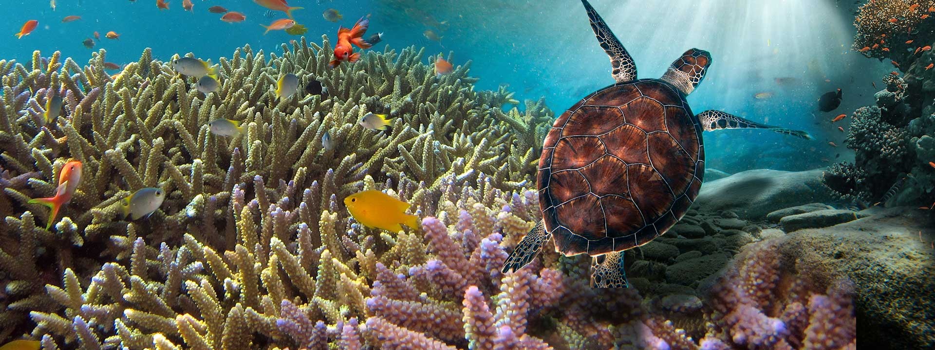 Asteklimaren hiru ekitaldi hartuko ditu Tolosak