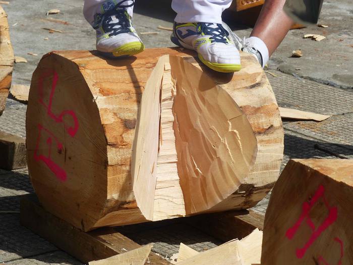 Kultura edo kirola, guztiak  95 1535469825922