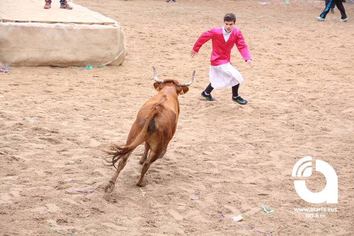 Zezenak adarrak okerrak ditu 104 1488277764377