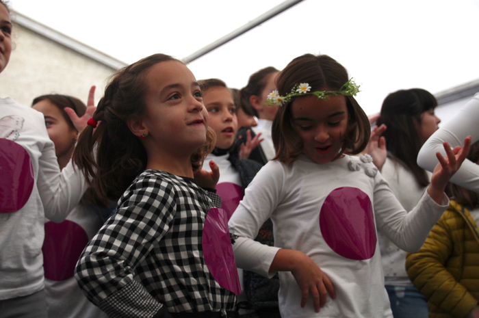 Dira ez, dituzte 11 1511616270941