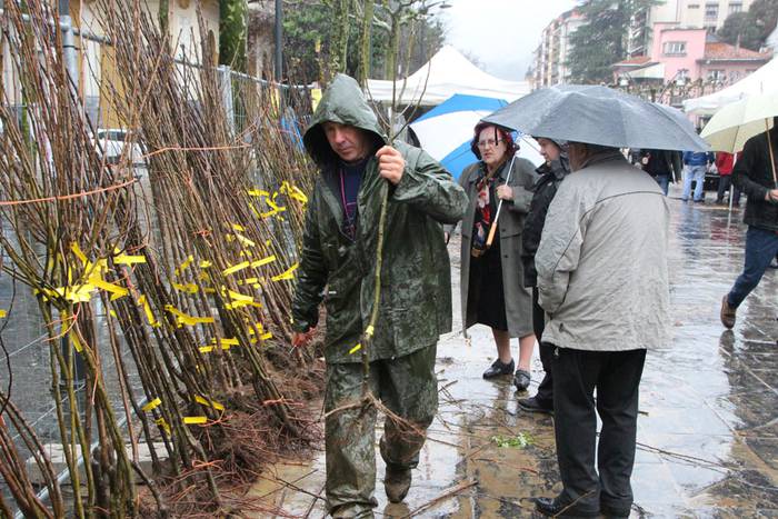 Zuhaitz Azoka Tolosan 2016 30 1456601477397