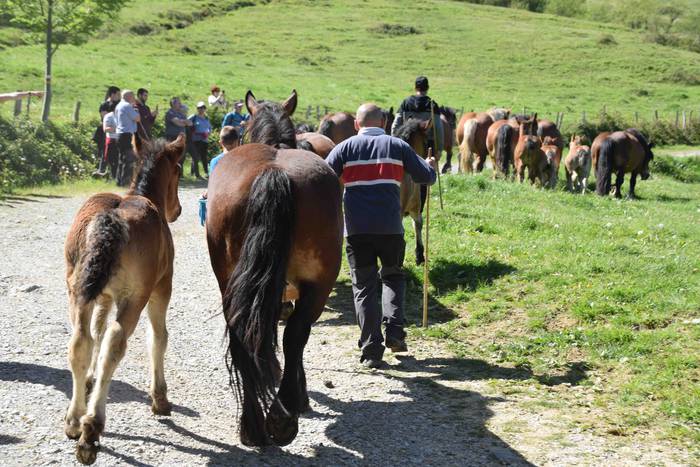 Larrerati dituzte abereak Ar 54 1556716324191