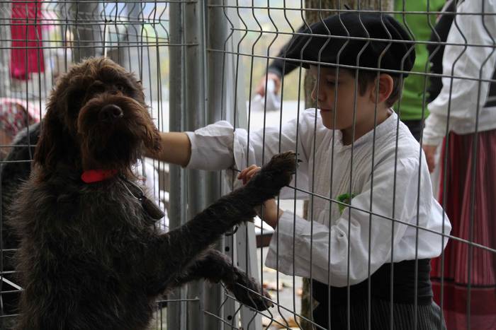 Auzolanaren fruitu, azoka 29 1541960926676