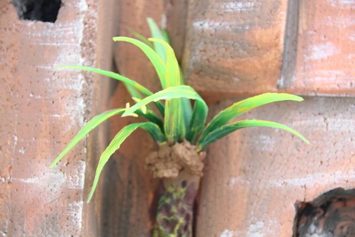 Maroko, emakumea eta artea,  11 1498208797233