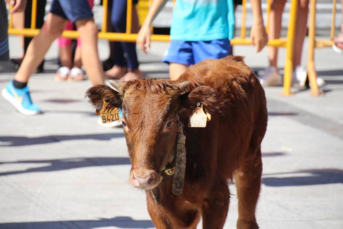 Gazteen festa egarriak ez du etenik 26 1472122585889