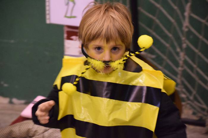 Irura, inauteriak 2018 1 1517997740405