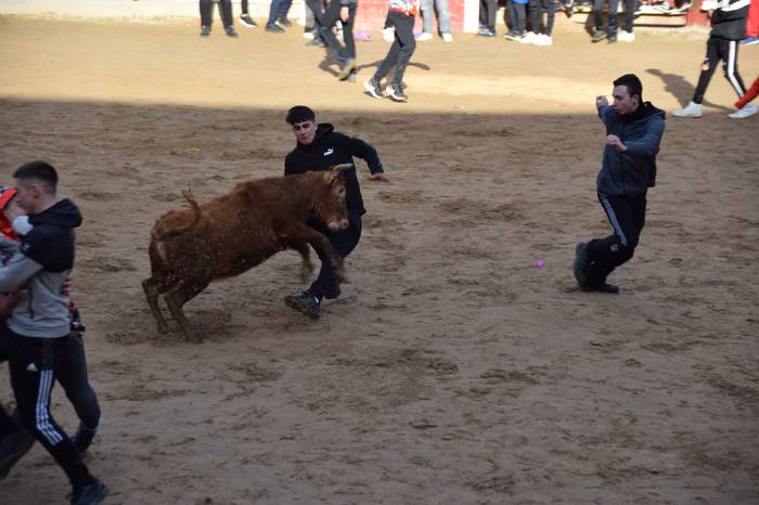 xexenak ostiral mehea 15 1645807730545