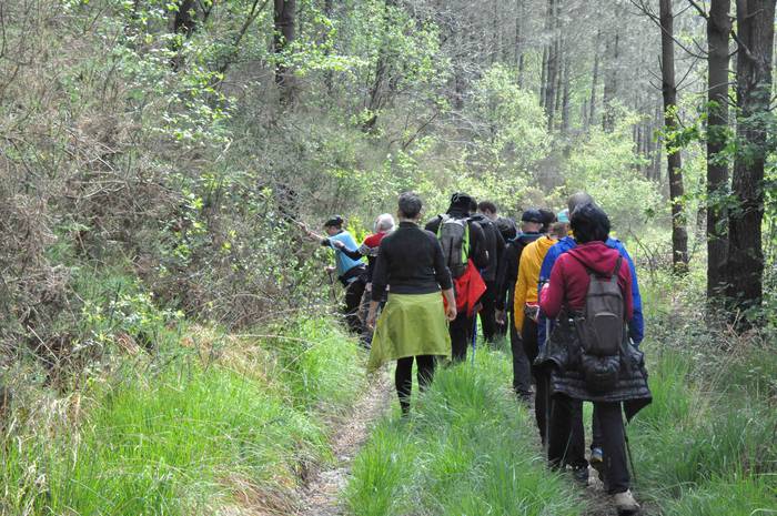 Zizurkilgo mugarriak Hernand 5 1620026988044