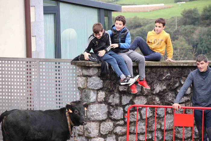 Amasako San Martinak 2019 42 1573305154722