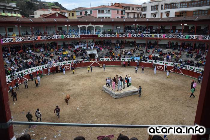 Pattar zezena 2016 49 1455012401381