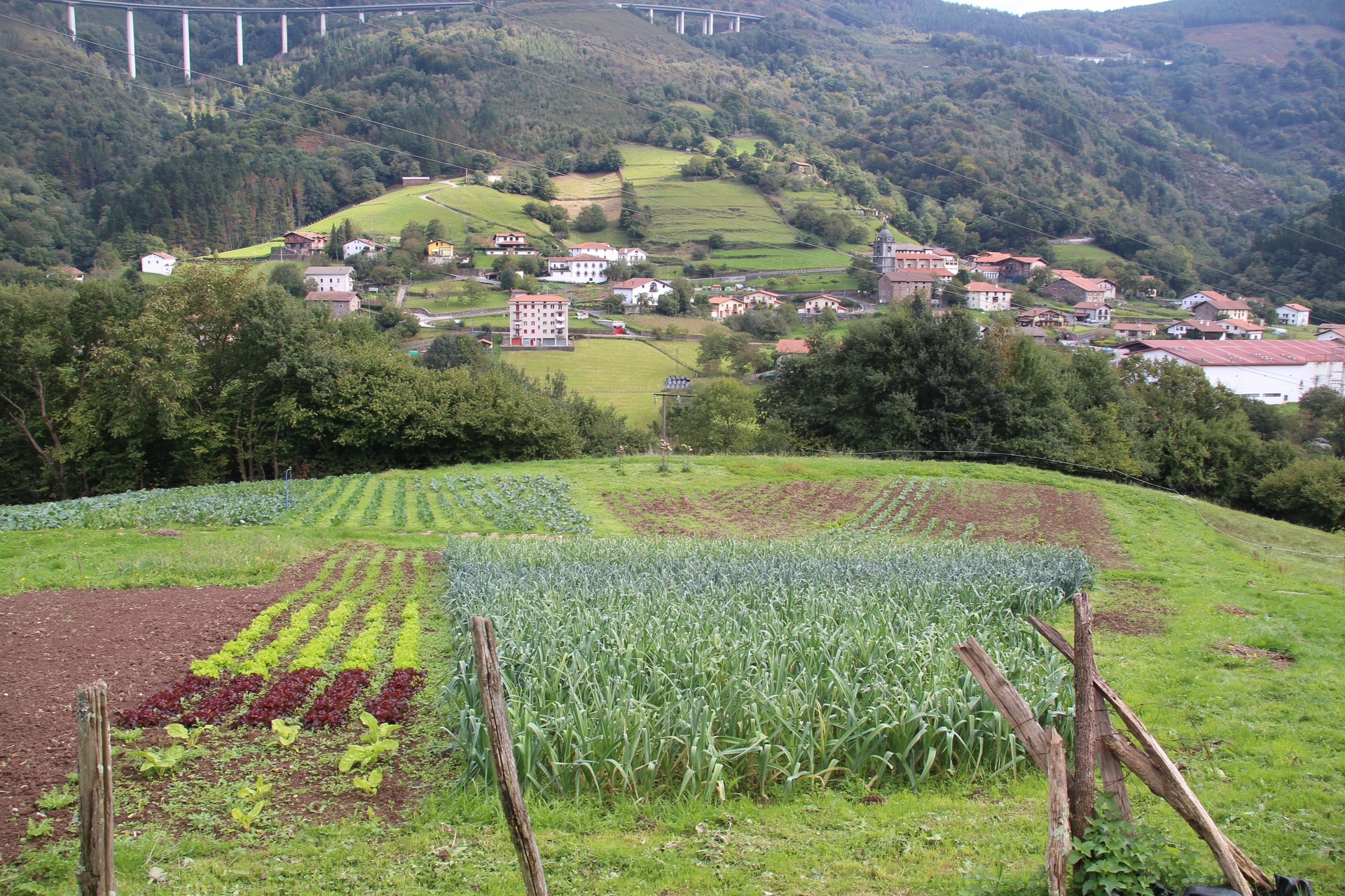 Bertakoa eta bertan, hobeto