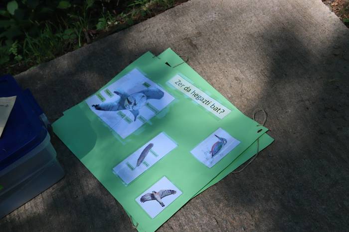 Elosegi parkeko biodibertsit 19 1559225134494