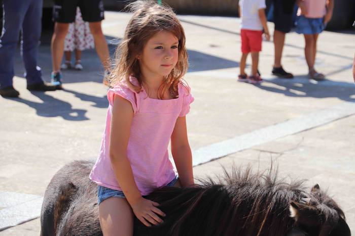 Festak hasteko, poniak eta z 20 1566993979080