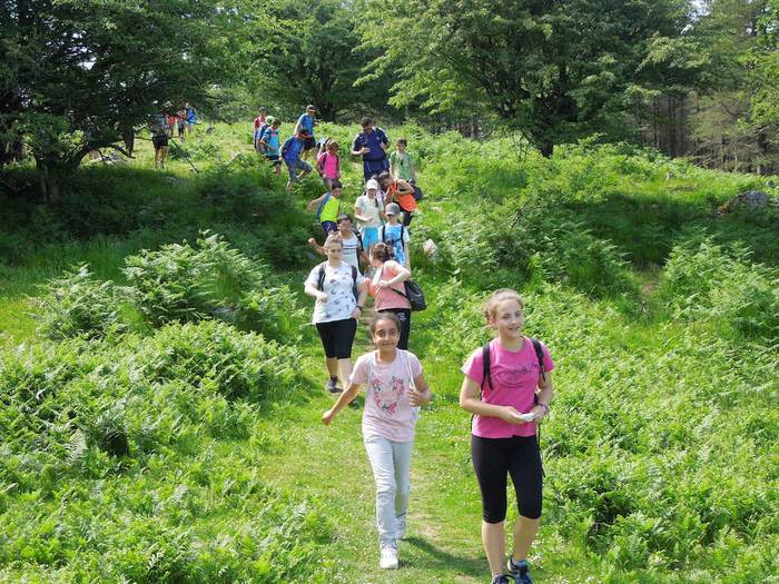 Naturaz gozatzeko aukera 5 1496073079626