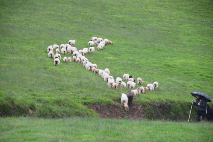 Larre irekiera Berastegi 202 10 1621072170597