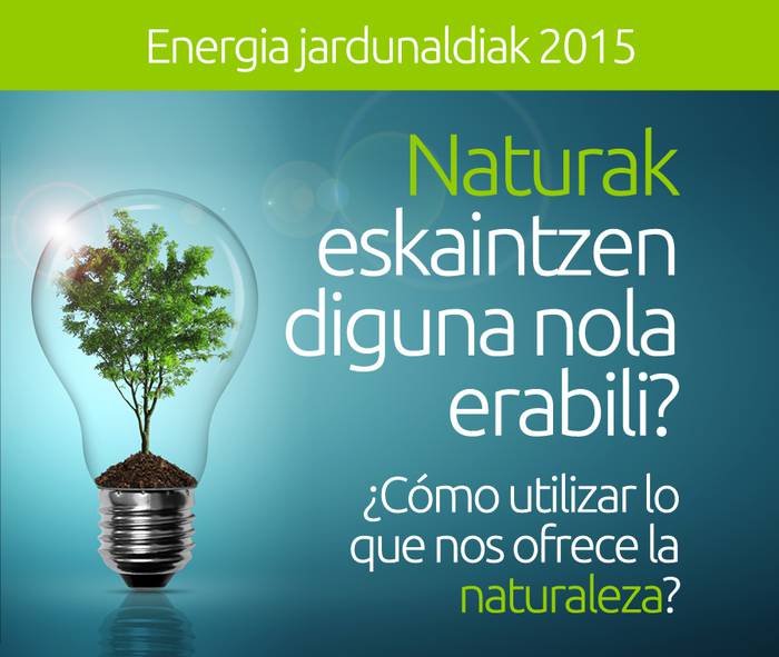Energia jardunaldiak 2015