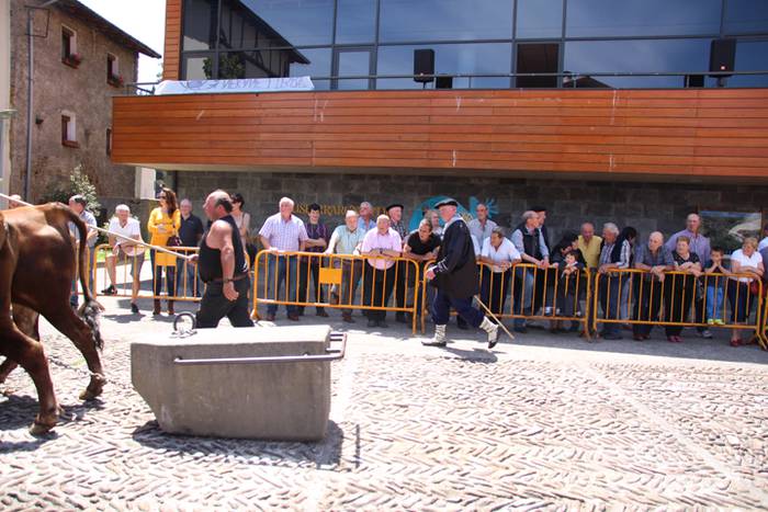 Idi erakustaldia Asteasuko p 26 1494859944846