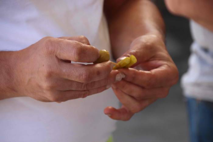 "Ibarra, Azoka eta Piparra" 44 1537103072182