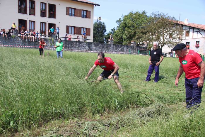 Erabaki dira Euskal Herriko  47 1532870444143