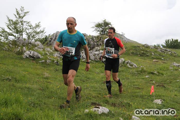 T3T tontor 2016 hernio 58 1466351091781