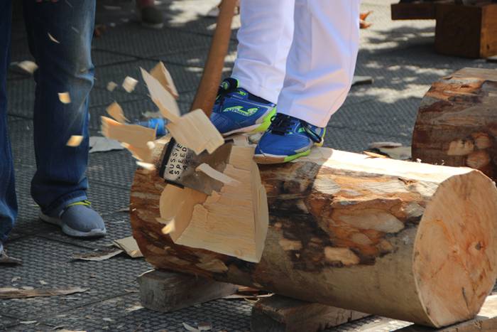 Mozorrorik onena, erakustald 33 1503590946945