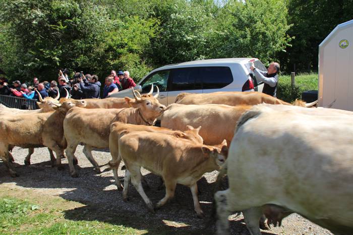 Larre irekiera Larraitzen 20 82 1493640161635