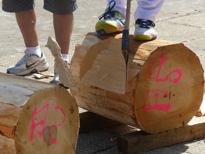 Kultura edo kirola, guztiak  99 1535469877828