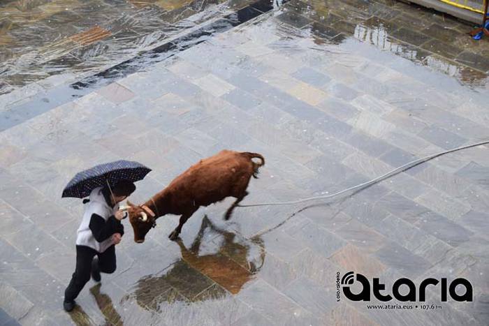 Inauteriak 2018, sokamuturra 13 1518437865776