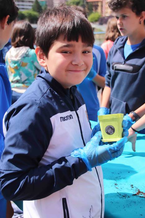 Tolosako Babarruna erein da 19 1559904708633