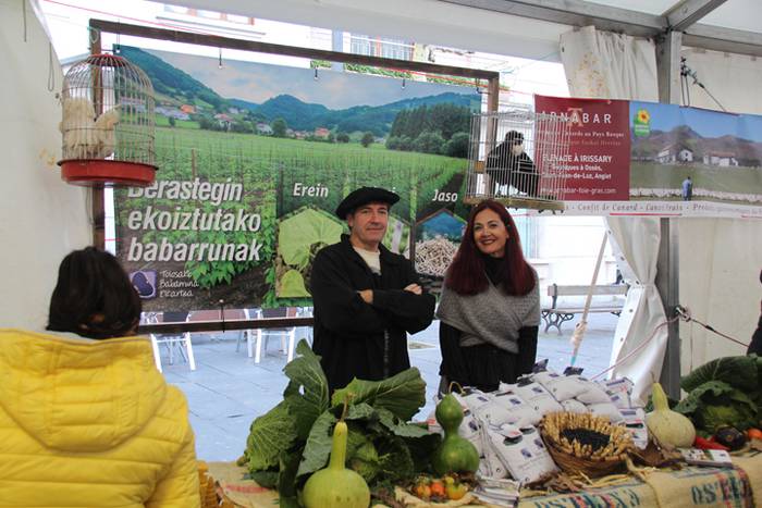 Albizturko Iriarte baserriko 10 1511013453149