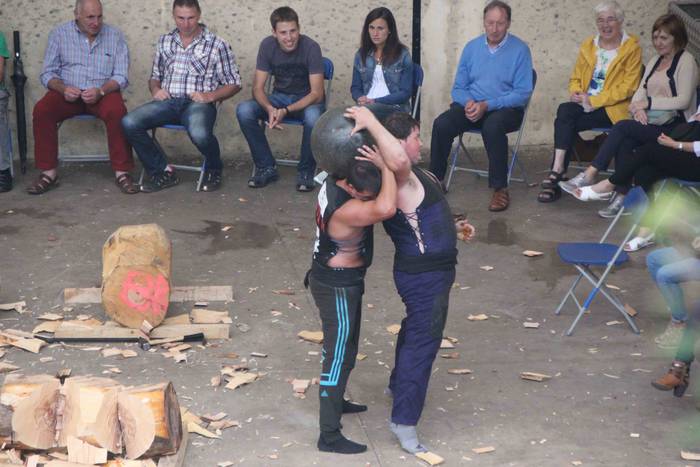 Bedaioko ingurutxoa, inoizko 3 1536520405064