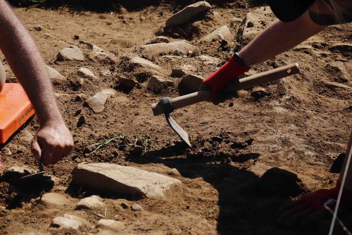 Saseta Defentsa Sistema auzo 19 1658491984991