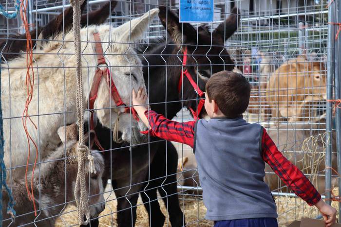 Sari guztiak banatu dituzte, 8 1667751714366