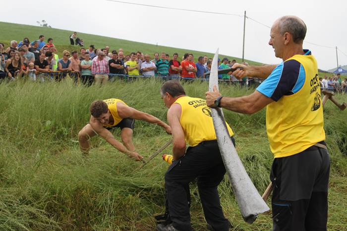 Gipuzkoako Sega Txapelketa, Asteasu 7 1468254231714