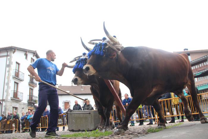 San Isidro Eguna Amasa Astea 10 1526395722456