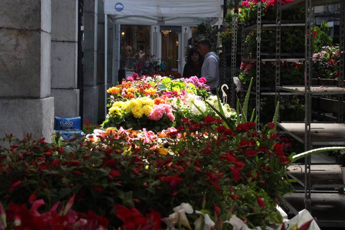 Udaberria loratu da Tolosan 7 1526734030383