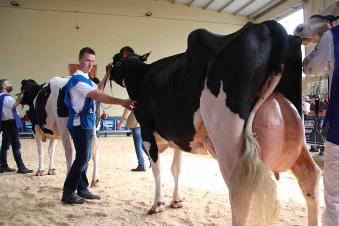 X. Euskal Herriko Frisoi Txa 14 1542479537468