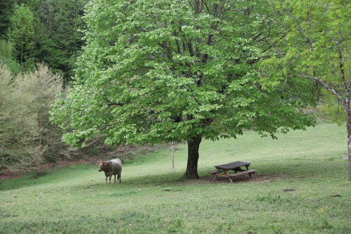 Larre irekiera festa Komizar 27 1650713605567