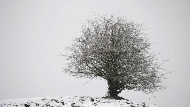 Neguaren magia, naturaren edertasuna eta gizakiaren gogoeta