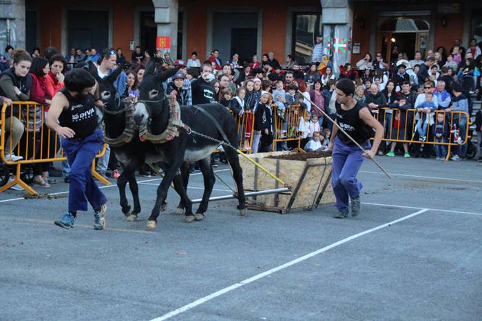 Gazteak nagusi, ximaurra gar 33 1507490611518