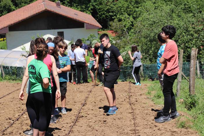 Erein dituzte lehen piperrak 5 1559303457039