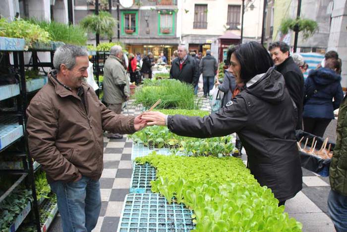 Tolosako Gabonetako azoka be 9 1514054046040