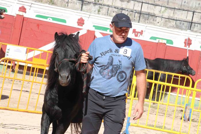 pottoka topaketa tolosa 10 1537627127378