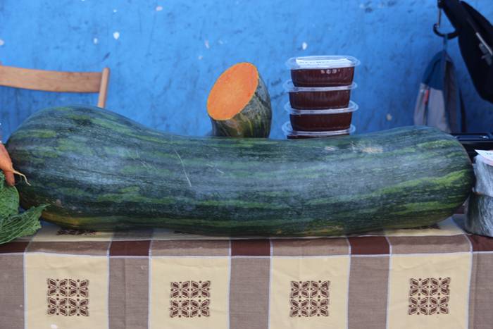 Herritarren salerosketarako  7 1509290194706