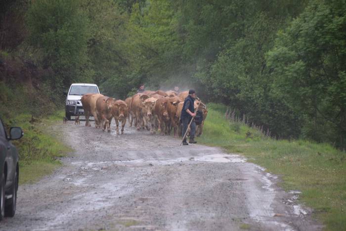 Larre irekiera Berastegi 202 25 1621072183569